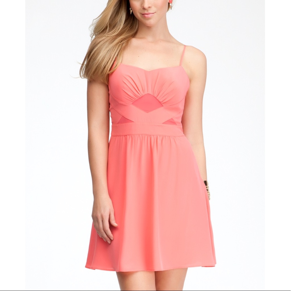 Bebe Fit & Flare Dress